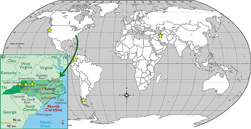 World Map of Sandra's Ashes